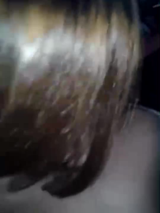 Ayam Kampus Mesum di Mobil HOT